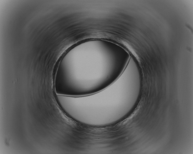 X0000091980837200709061151