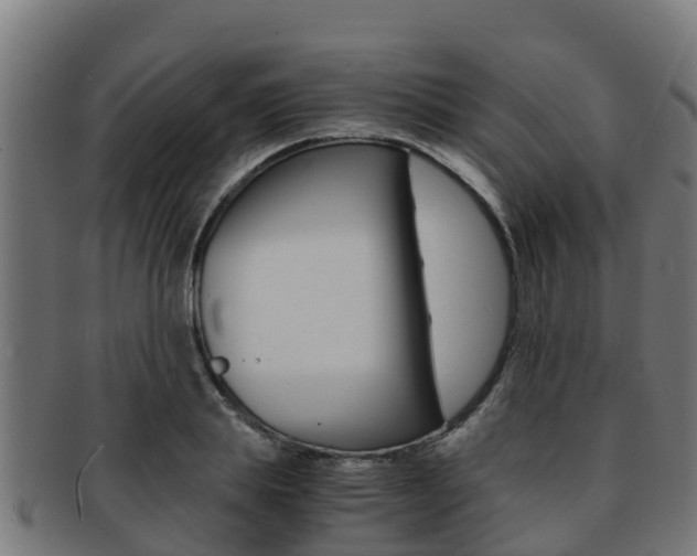 X0000091980839200709061151