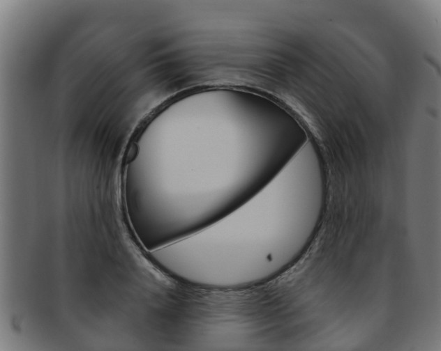 X0000091980840200709061151