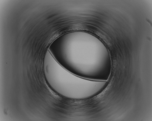 X0000091980841200709061151