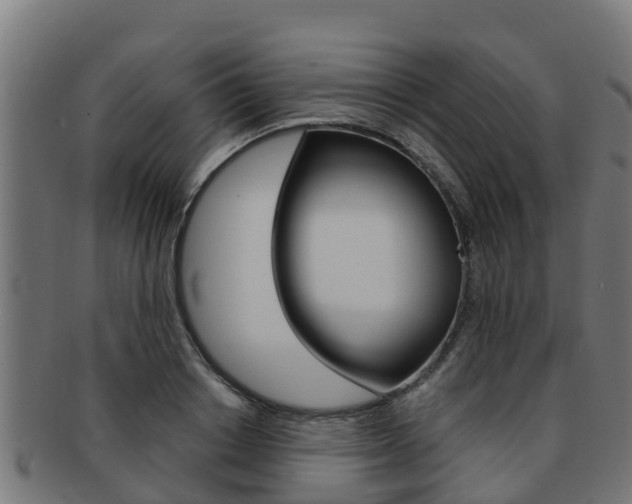X0000091980842200709061151