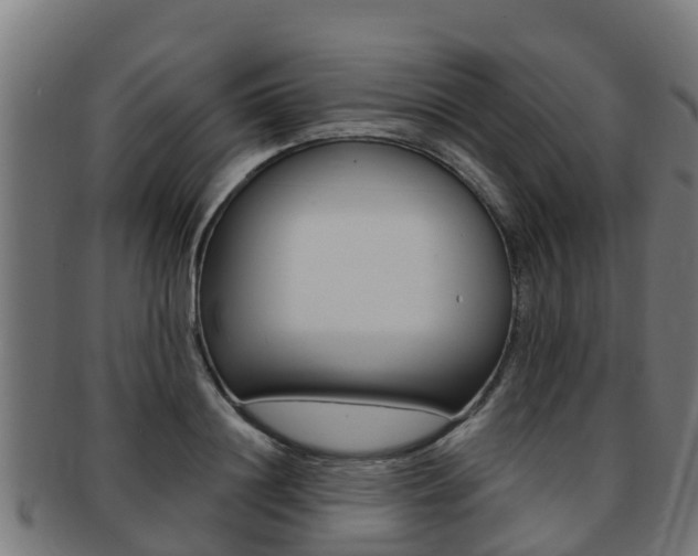 X0000091980844200709061151