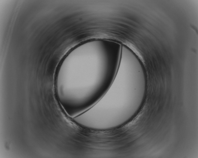 X0000091980845200709061151