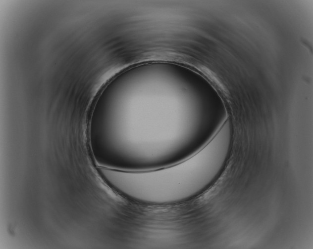 X0000091980846200709061151