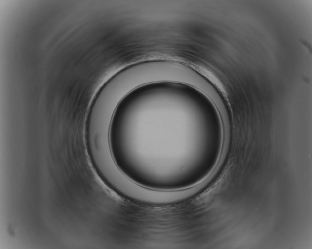 X0000091980847200709061151