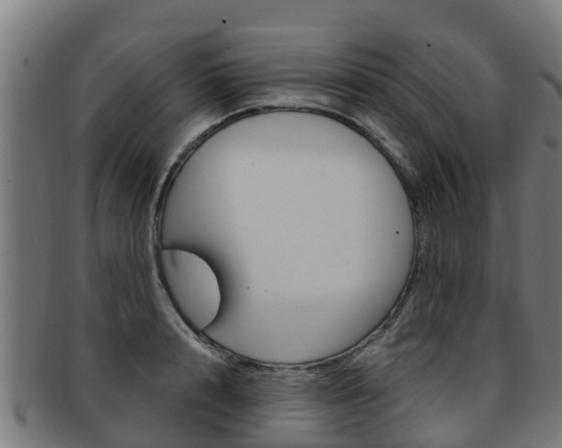 X0000091980848200709061151