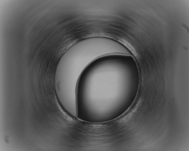 X0000091980849200709061151