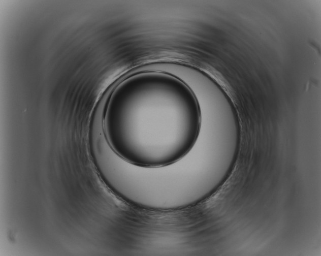 X0000091980850200709061151