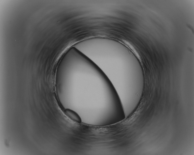 X0000091980851200709061151