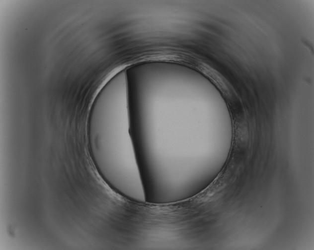 X0000091980852200709061151