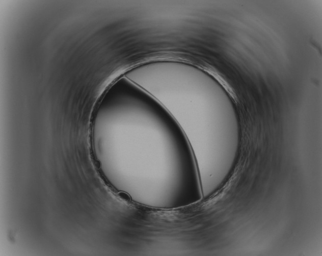 X0000091980853200709061151