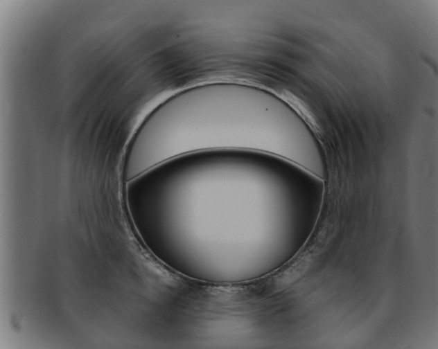 X0000091980854200709061151