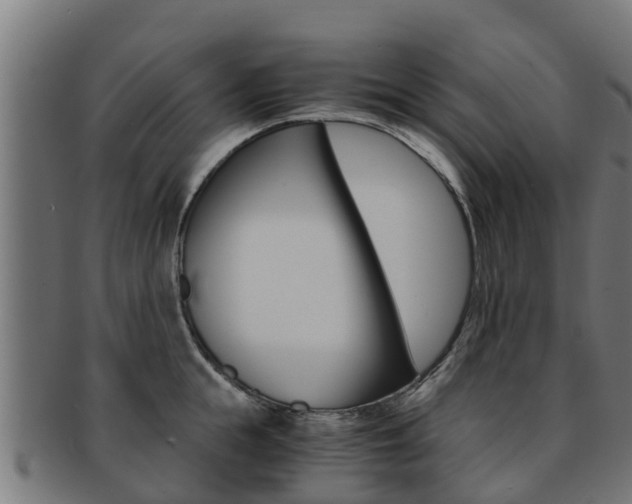 X0000091980855200709061151