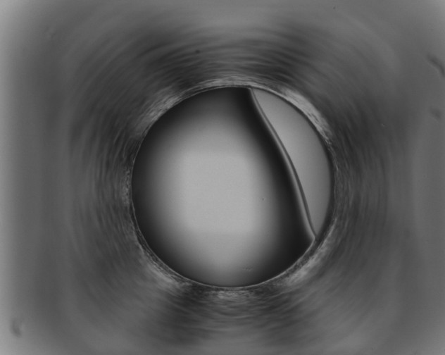 X0000091980857200709061151