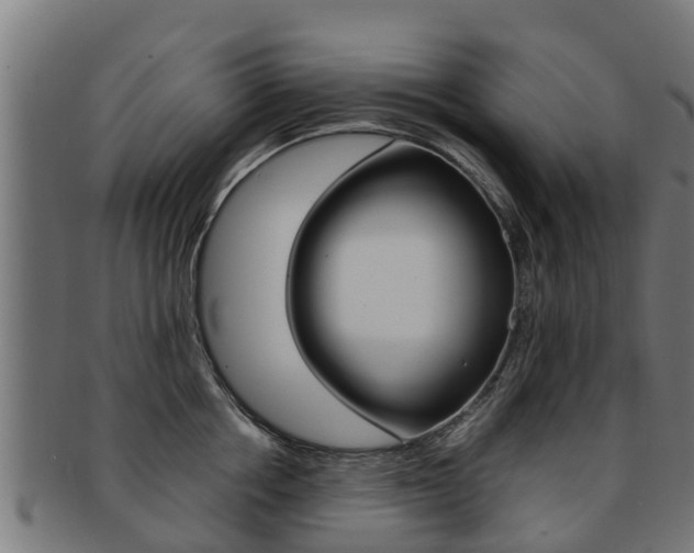 X0000091980858200709061151