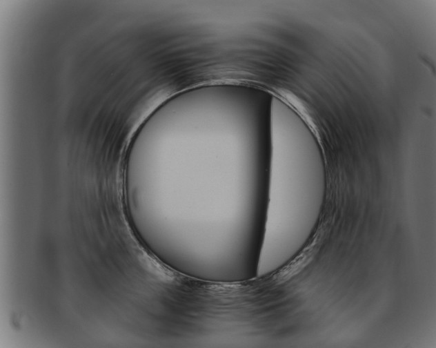 X0000091980859200709061151