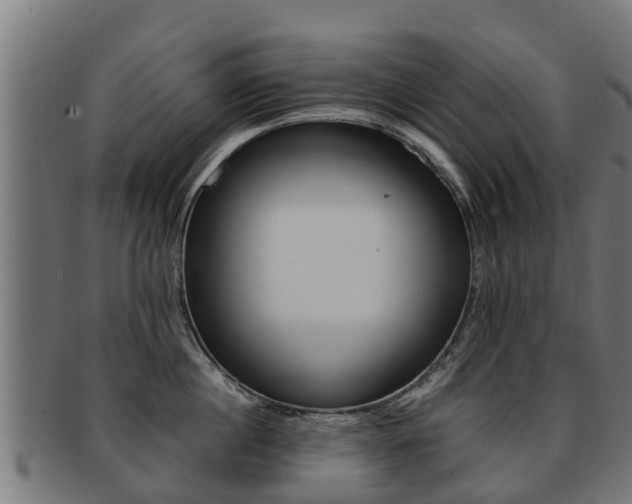 X0000091980860200709061151