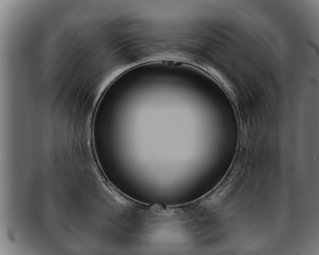 X0000091980862200709061151
