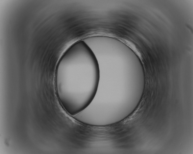 X0000091980863200709061151