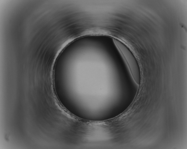 X0000091980864200709061151