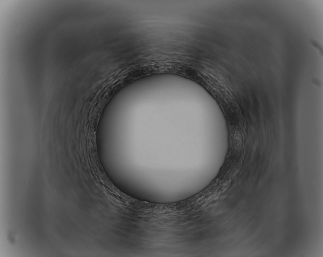 X0000091980865200709061151