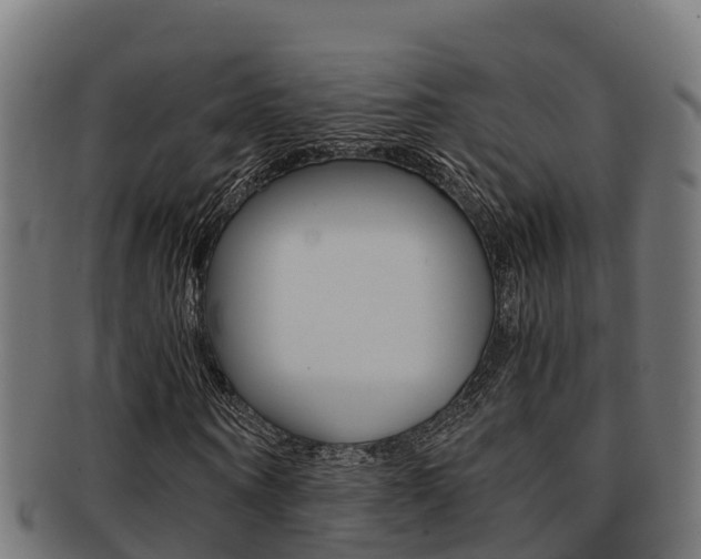 X0000091980866200709061150