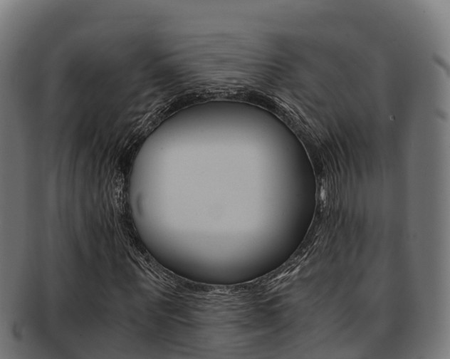 X0000091980867200709061150