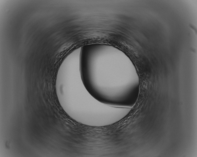 X0000091980869200709061150