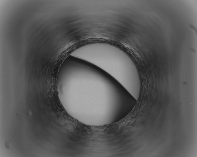 X0000091980870200709061150