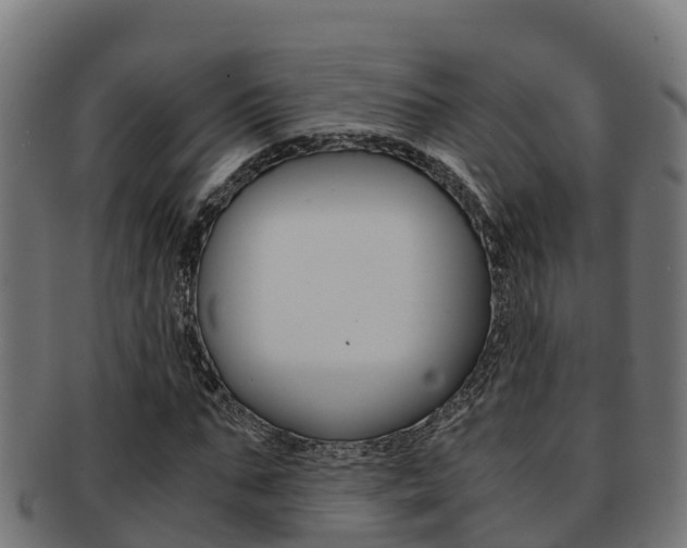 X0000091980871200709061150