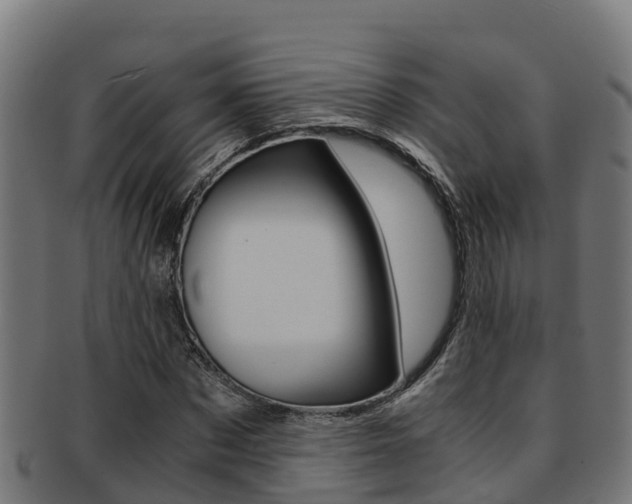 X0000091980873200709061150