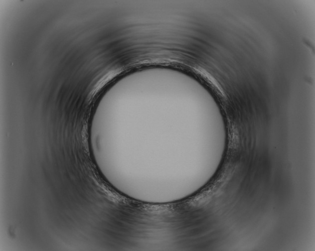 X0000091980874200709061150