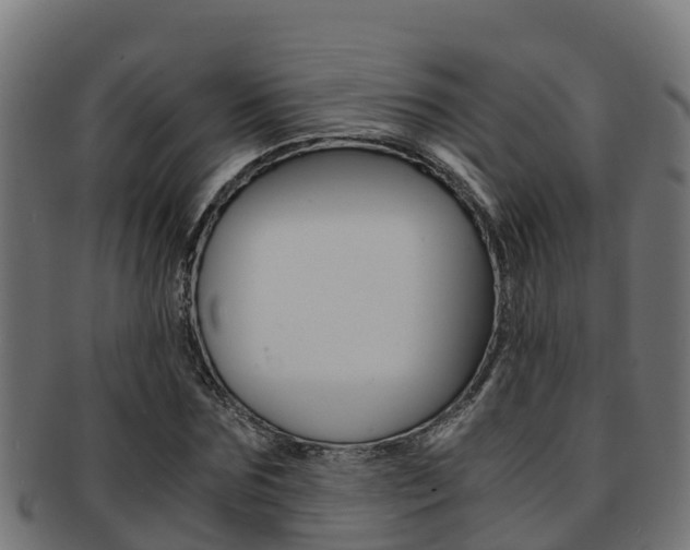 X0000091980875200709061150