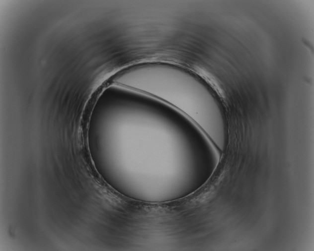 X0000091980876200709061150