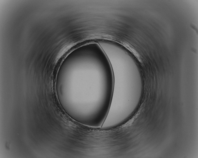 X0000091980877200709061150
