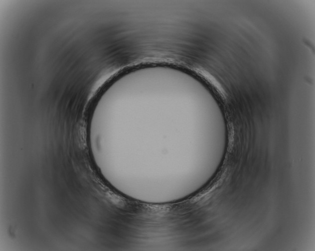 X0000091980878200709061150