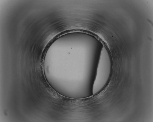 X0000091980879200709061150