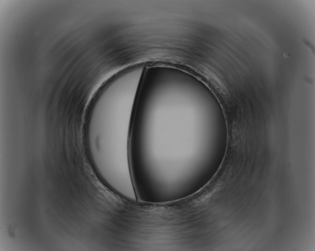 X0000091980880200709061150
