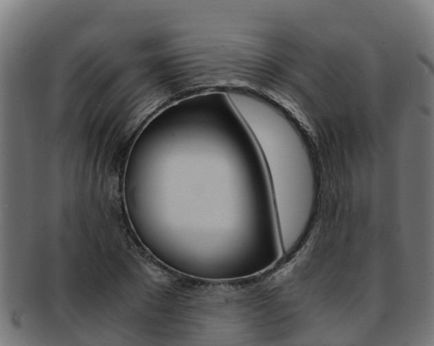 X0000091980881200709061150
