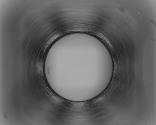 X0000091980882200709061150