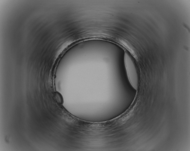 X0000091980883200709061150