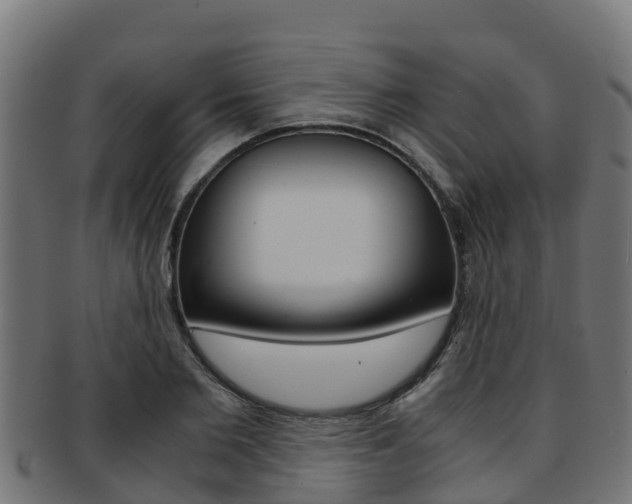X0000091980885200709061150