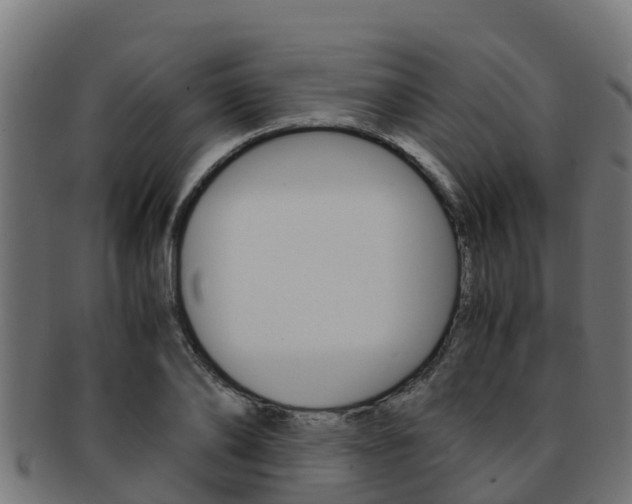 X0000091980886200709061150