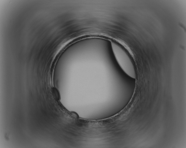 X0000091980887200709061150
