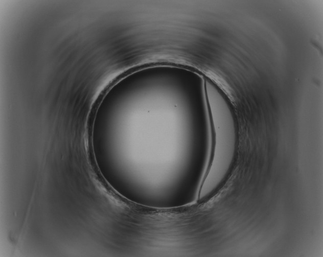 X0000091980888200709061150