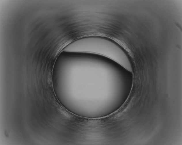 X0000091980889200709061150