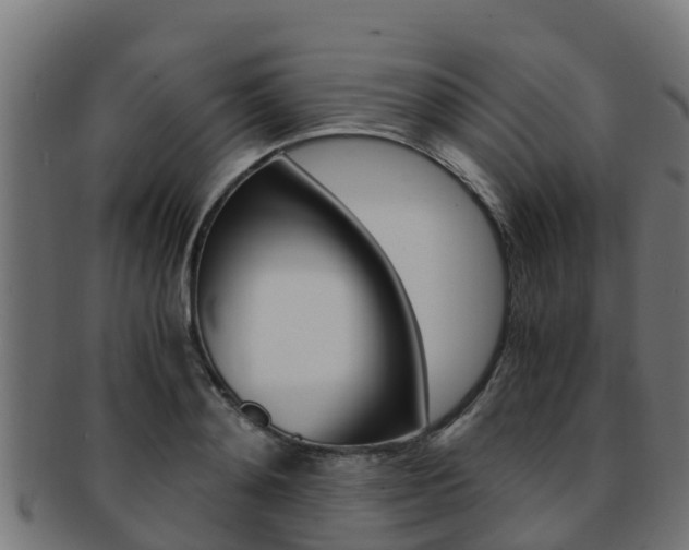 X0000091980892200709061150