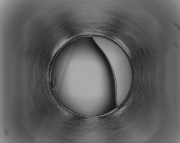 X0000091980893200709061150