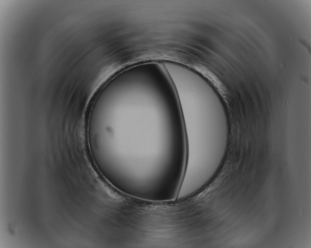 X0000091980894200709061150