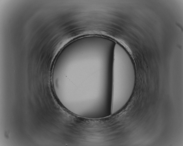 X0000091980895200709061150